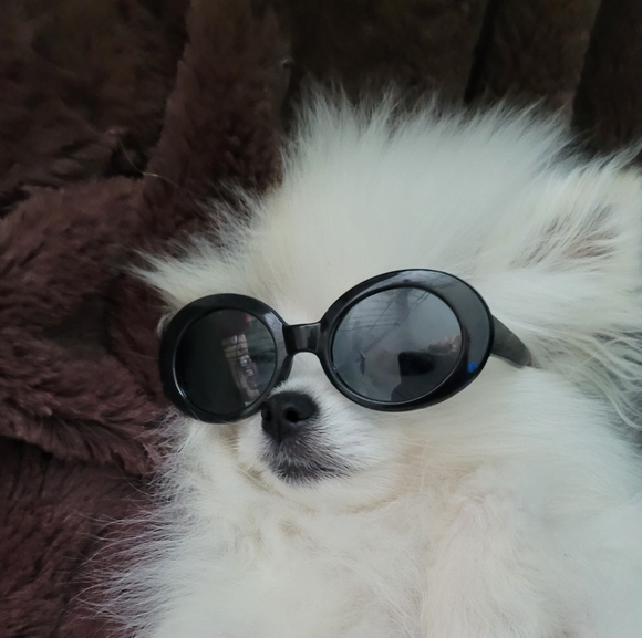 ReneeResellRack is LIVE@6 pm central💥$5 Unlisted NWT & preloved Women XS-3X - Picture 4 of 16